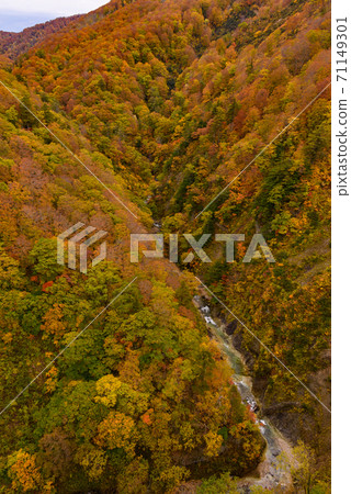 Autumn leaves of Shiogakura Ohashi Autumn leaves of Shiogakura Ohashi 71149301