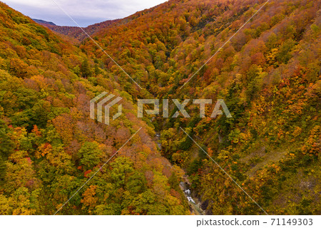 Autumn leaves of Shiogakura Ohashi Autumn leaves of Shiogakura Ohashi 71149303