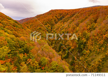 Autumn leaves of Shiogakura Ohashi Autumn leaves of Shiogakura Ohashi 71149311