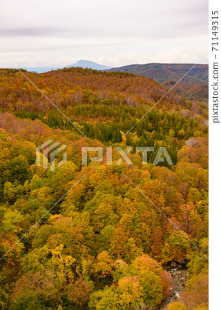 Autumn leaves of Shiogakura Ohashi Autumn leaves of Shiogakura Ohashi 71149315