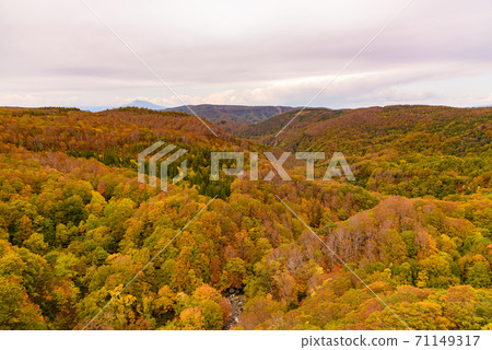 Autumn leaves of Shiogakura Ohashi Autumn leaves of Shiogakura Ohashi 71149317