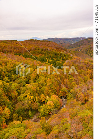 Autumn leaves of Shiogakura Ohashi Autumn leaves of Shiogakura Ohashi 71149318