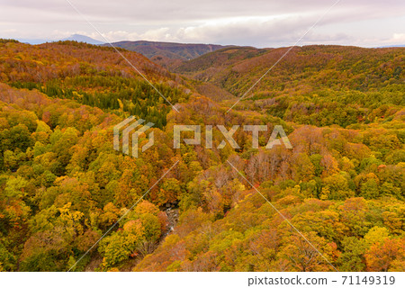 Autumn leaves of Shiogakura Ohashi Autumn leaves of Shiogakura Ohashi 71149319