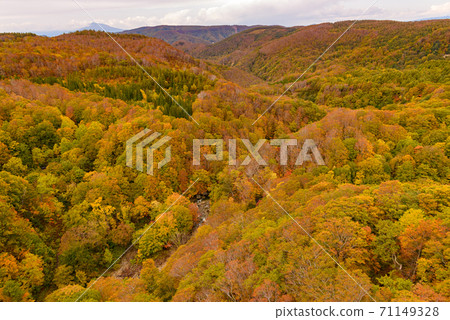 Autumn leaves of Shiogakura Ohashi Autumn leaves of Shiogakura Ohashi 71149328