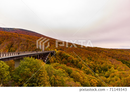 Autumn leaves of Shiogakura Ohashi Autumn leaves of Shiogakura Ohashi 71149343