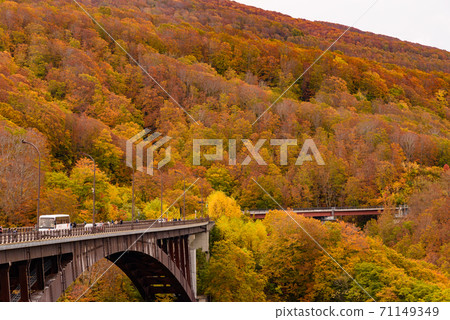 Autumn leaves of Shiogakura Ohashi Autumn leaves of Shiogakura Ohashi 71149349