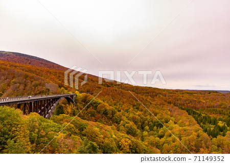 Autumn leaves of Shiogakura Ohashi Autumn leaves of Shiogakura Ohashi 71149352