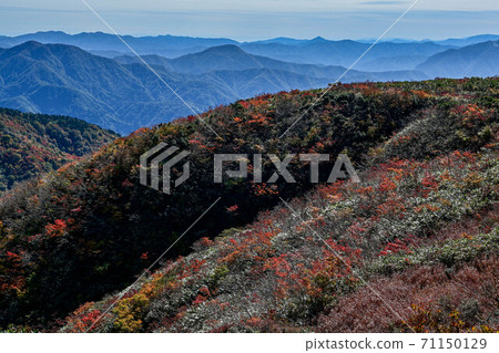 秋葉紅兔子山 秋葉紅兔子山 71150129