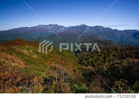 秋葉紅兔子山 秋葉紅兔子山 71150130