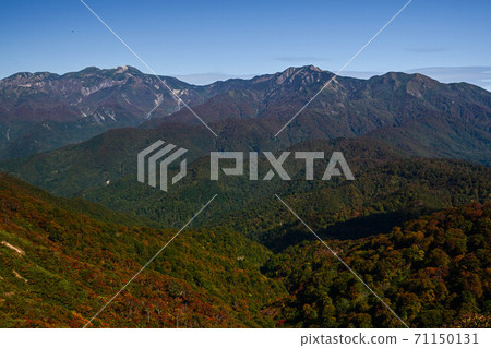 秋葉紅兔子山 71150131