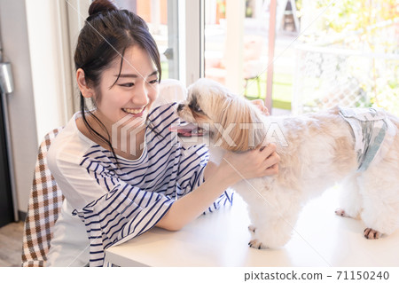 一個和狗一起玩的女人 一個和狗一起玩的女人 71150240