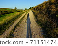 Camino de Santiago de Compostela 71151474