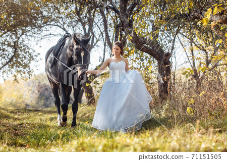 woman in white wedding dress walking with a horse in autumn park 71151505