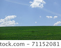 Wheat field and blue sky 71152081