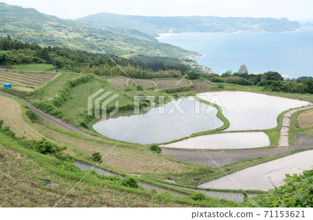 The scenery of the terraced rice fields has decreased The scenery of the terraced rice fields has decreased 71153621