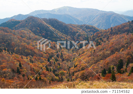 從竹長嶽山步道欣賞秋天的景色（遠處眺望琵琶湖谷） 71154582