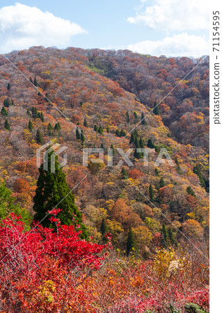 Scenery of Mt. Bunagatake mountain trail in autumn colors Scenery of Mt. Bunagatake mountain trail in autumn colors 71154595