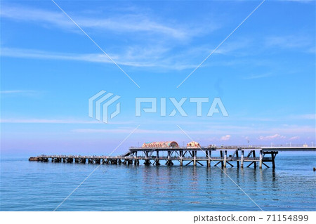 Misaki Town Sea Fishing Park Totto Park Kojima 71154899