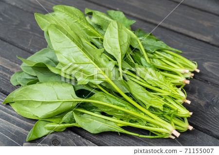 Which spinach in the morning Which spinach in the morning 71155007