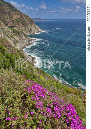 Rocky Coast, Walker Bay Nature Reserve, South Africa Rocky Coast, Walker Bay Nature Reserve, South Africa 71155274