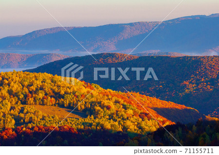 rising clouds in mountainous countryside at sunrise. gorgeous view of autumn fog in valley 71155711