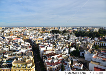 從吉拉達塔，西班牙塞維利亞大教堂的視圖 71156401