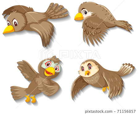 Cute sparrow bird cartoon character Cute sparrow bird cartoon character 71156857