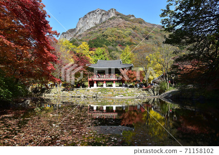 Autumn scenery of Baekyangsa Ssanggyeru, Jangseong-gun, Jeollanam-do, Korea 71158102