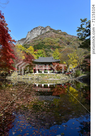 Autumn scenery of Baekyangsa Ssanggyeru, Jangseong-gun, Jeollanam-do, Korea 71158104