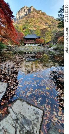Autumn scenery of Baekyangsa Ssanggyeru, Jangseong-gun, Jeollanam-do, Korea 71158116