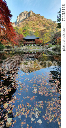 Autumn scenery of Baekyangsa Ssanggyeru, Jangseong-gun, Jeollanam-do, Korea 71158118