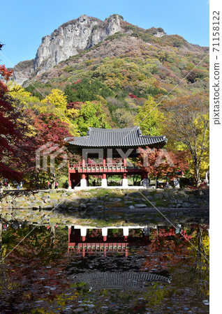 Autumn scenery of Baekyangsa Ssanggyeru, Jangseong-gun, Jeollanam-do, Korea Autumn scenery of Baekyangsa Ssanggyeru, Jangseong-gun, Jeollanam-do, Korea 71158122