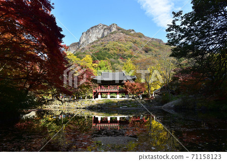 Autumn scenery of Baekyangsa Ssanggyeru, Jangseong-gun, Jeollanam-do, Korea 71158123