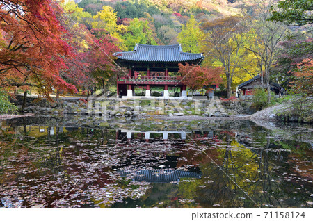 Autumn scenery of Baekyangsa Ssanggyeru, Jangseong-gun, Jeollanam-do, Korea 71158124