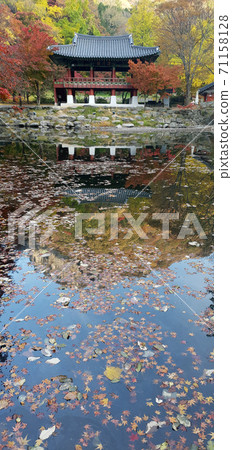 Autumn scenery of Baekyangsa Ssanggyeru, Jangseong-gun, Jeollanam-do, Korea 71158128