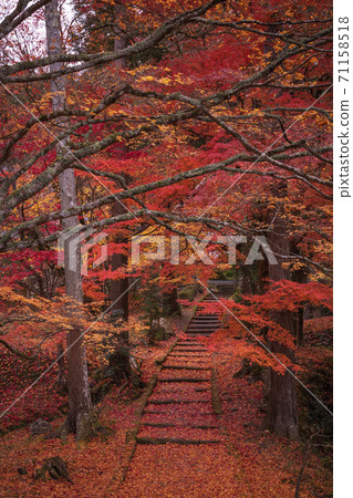 Ryuonji Temple, Kyoto Prefecture Autumn leaves Ryuonji Temple, Kyoto Prefecture Autumn leaves 71158518