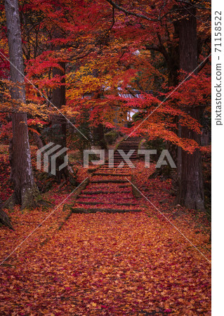 Ryuonji Temple, Kyoto Prefecture Autumn leaves 71158522