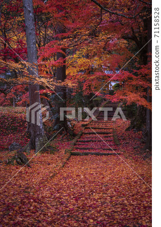 Ryuonji Temple, Kyoto Prefecture Autumn leaves Ryuonji Temple, Kyoto Prefecture Autumn leaves 71158528