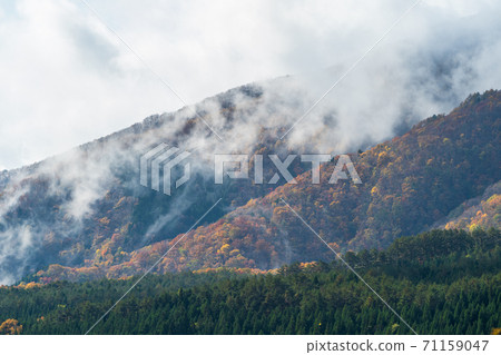 Shichikashuku after the rain Autumn leaves Shichikashuku Town, Miyagi Prefecture Shichikashuku after the rain Autumn leaves Shichikashuku Town, Miyagi Prefecture 71159047