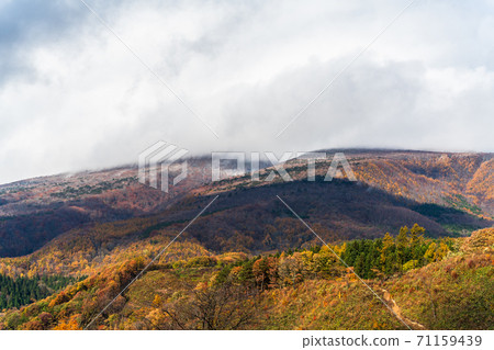Mt. Fubo seen from Shichikashuku in late autumn, Shichikashuku Town, Miyagi Prefecture Mt. Fubo seen from Shichikashuku in late autumn, Shichikashuku Town, Miyagi Prefecture 71159439
