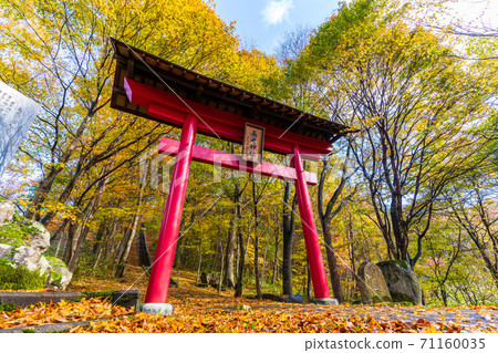 雨後的老神社的風景秋葉縣宮城縣七十勝町 雨後的老神社的風景秋葉縣宮城縣七十勝町 71160035