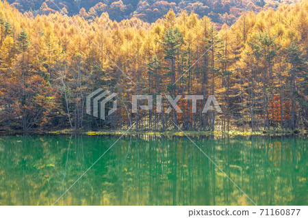 Autumn Mishakaike Pond, Chino City, Nagano Prefecture 71160877