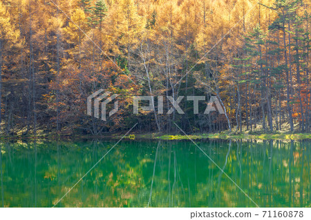 Autumn Mishakaike Pond, Chino City, Nagano Prefecture 71160878
