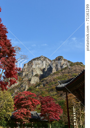 韓國全羅南道長城郡白岩山鶴岩 韓國全羅南道長城郡白岩山鶴岩 71161299