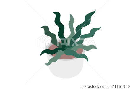 Undulating foliage plants and flowerpots isometric 71161900