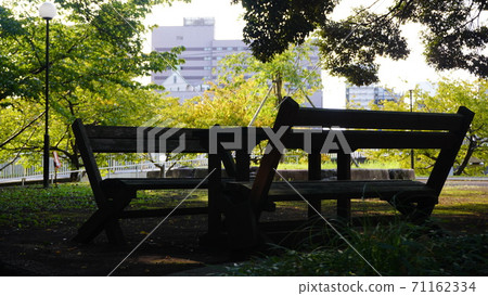 Park bench in the city 71162334