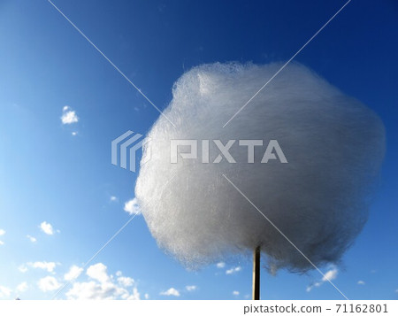 cotton candy cotton candy 71162801