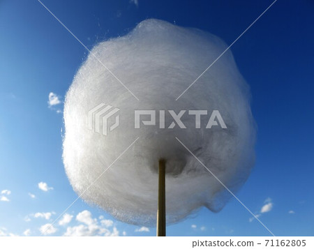 cotton candy cotton candy 71162805