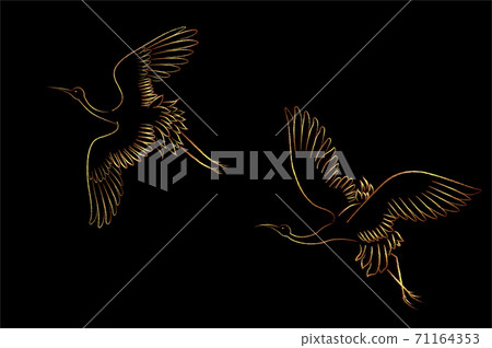 Couple Eastern sarus crane Birds flying over the sky Couple Eastern sarus crane Birds flying over the sky 71164353