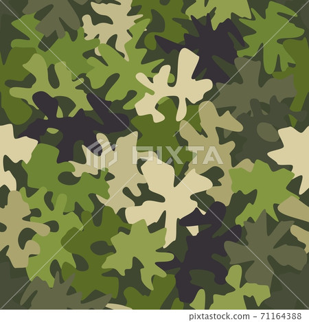 Camouflage pattern background. Classic clothing - Stock